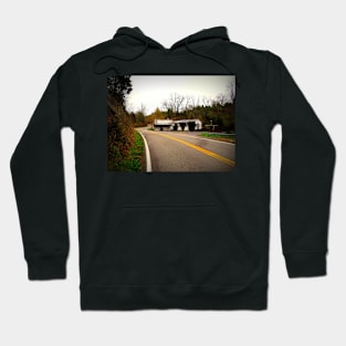 Twist And A Curve Hoodie